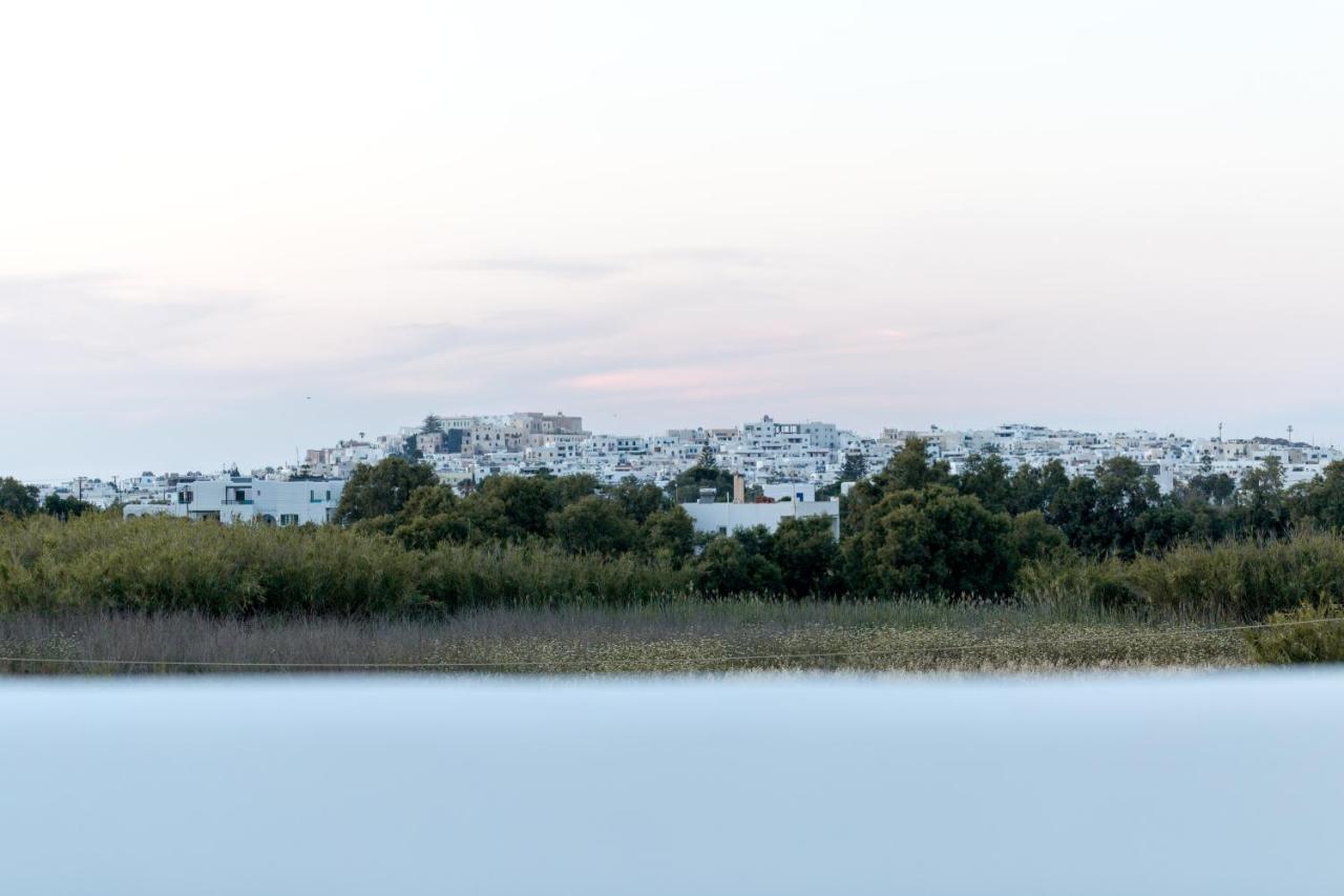 Isalos Villas Naxos Naxos City Exterior photo